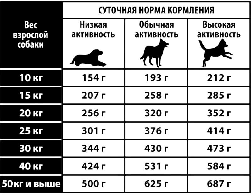 Сколько нужно давать корма собаке в день